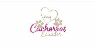 Cachorros Ecuador