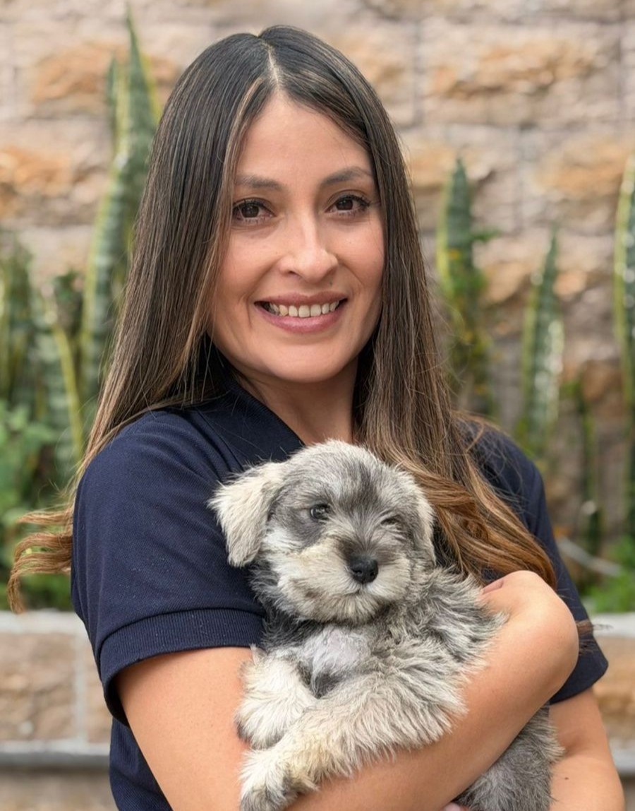 Schnauzer