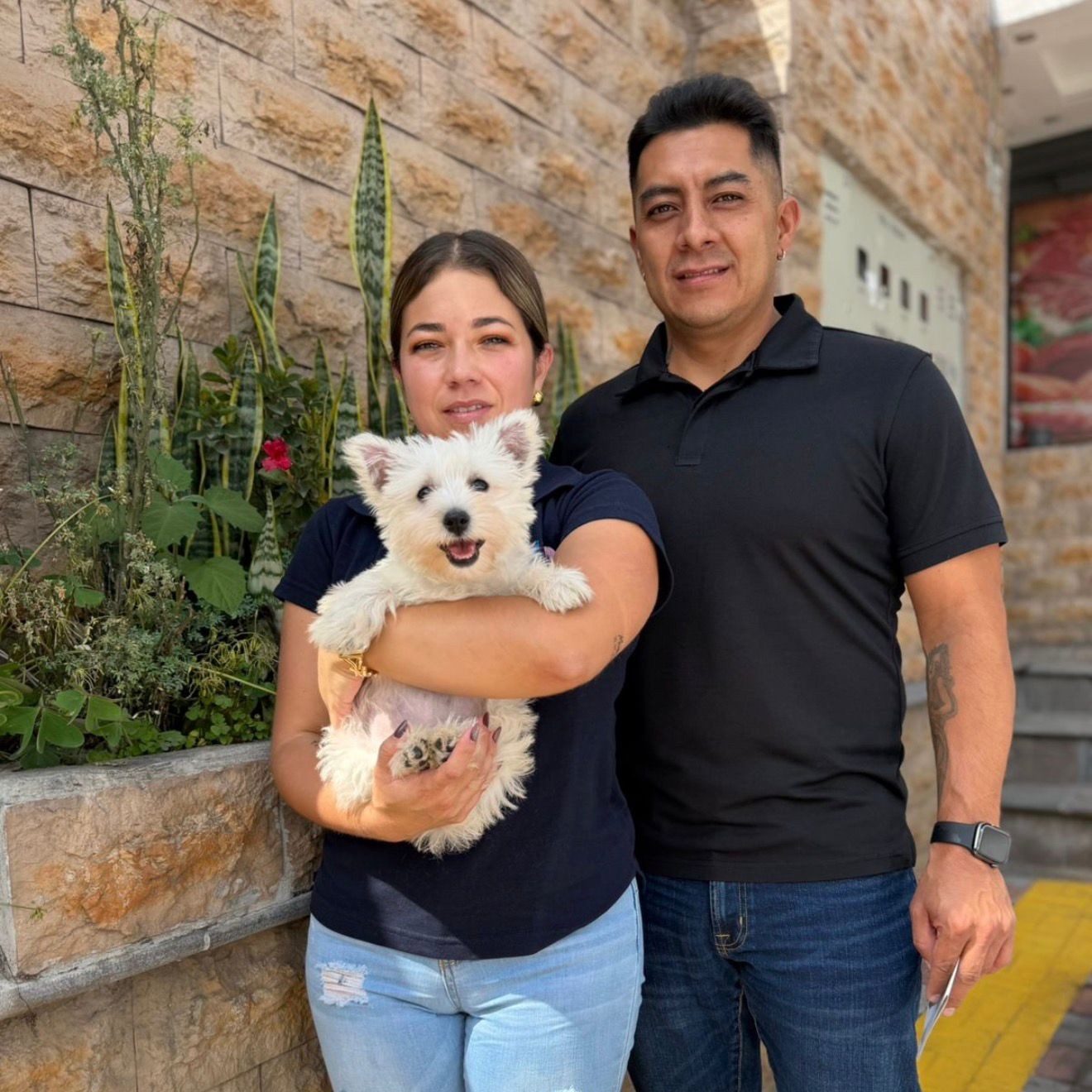 West Highland White Terrier